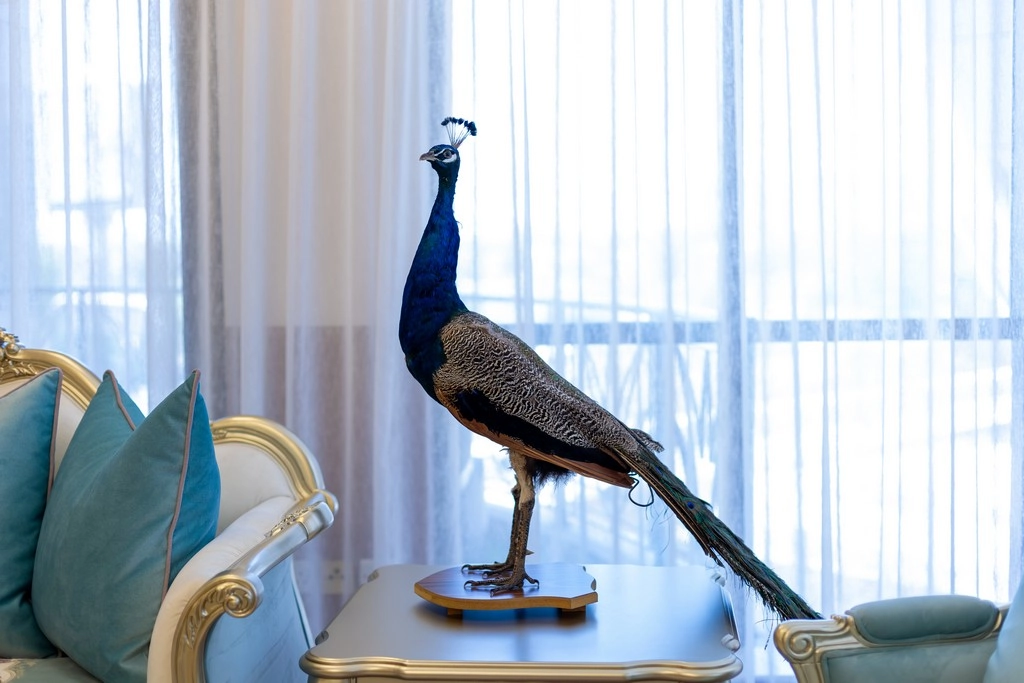 Residential Interior Design Services