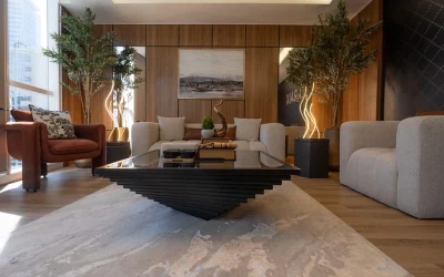 Laraix Developers LLC